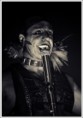/album/fotogalerie/rammstein2-jpg/